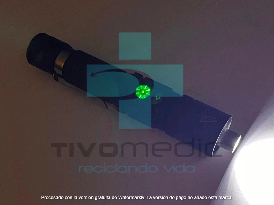 Vista 19